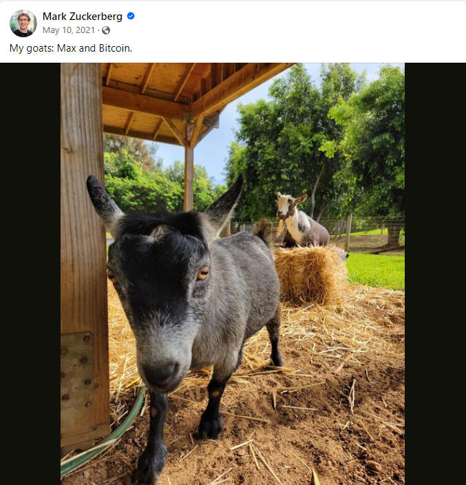 Zucks Post